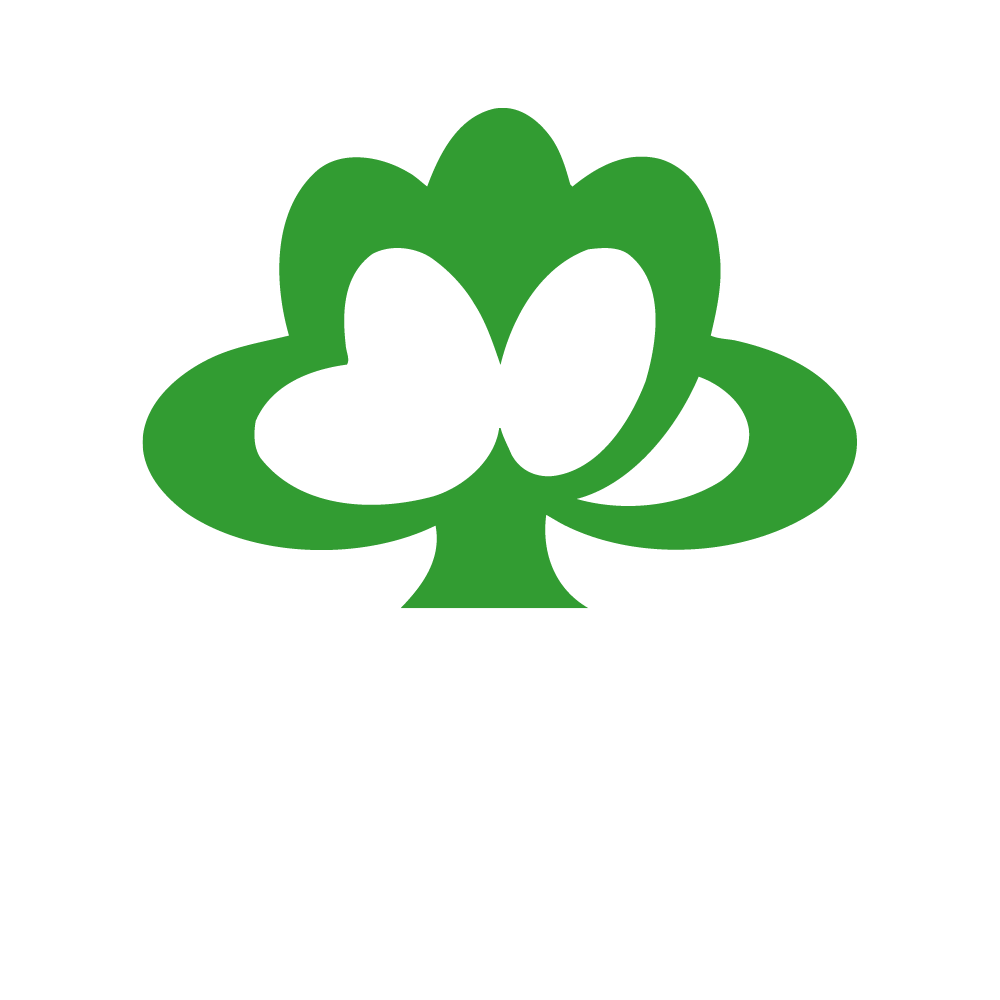 Stiftelsen Gripen
